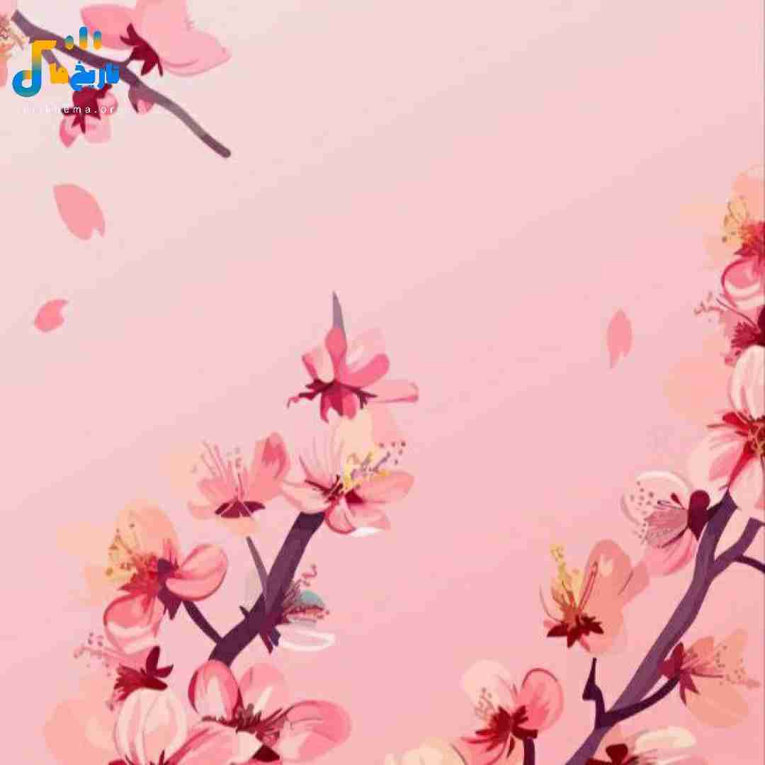  کل تیم بارسلونا شیرای آمازون آتاتورک (میکس اینستایی)