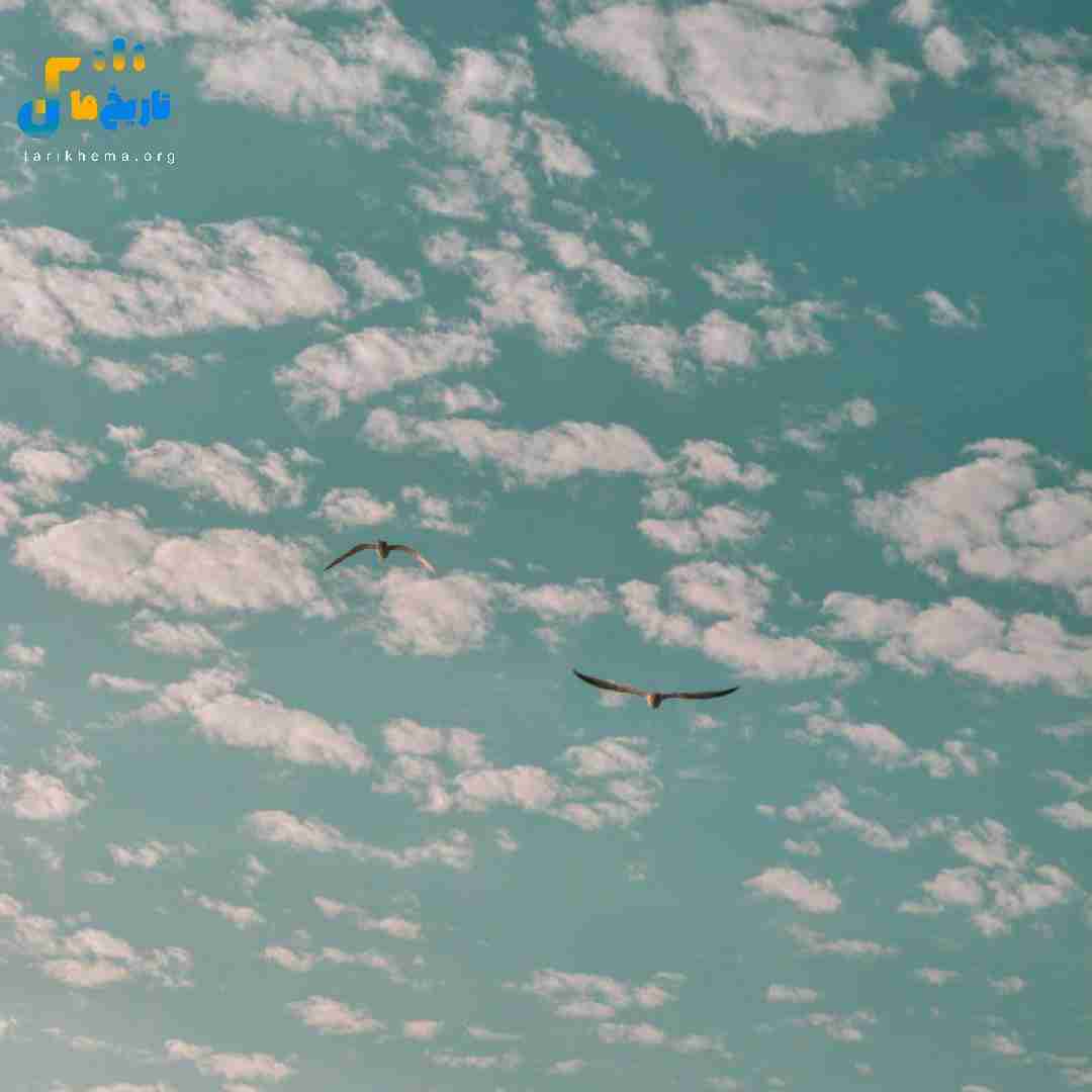  همه کس من تو نفس منی دنیای من