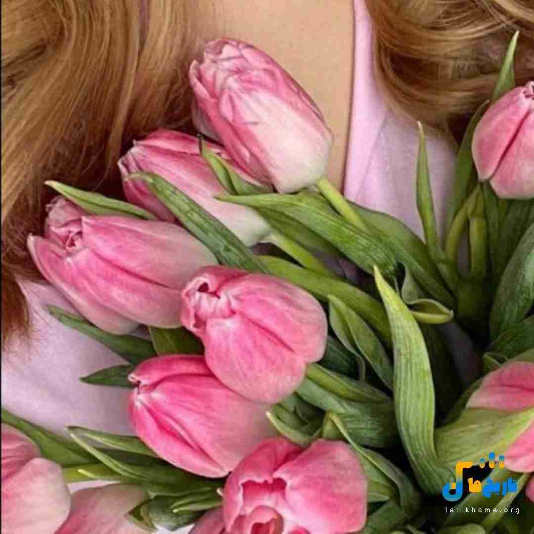 دشی توی هر شهر غریبی با تو میشه موندنی شد