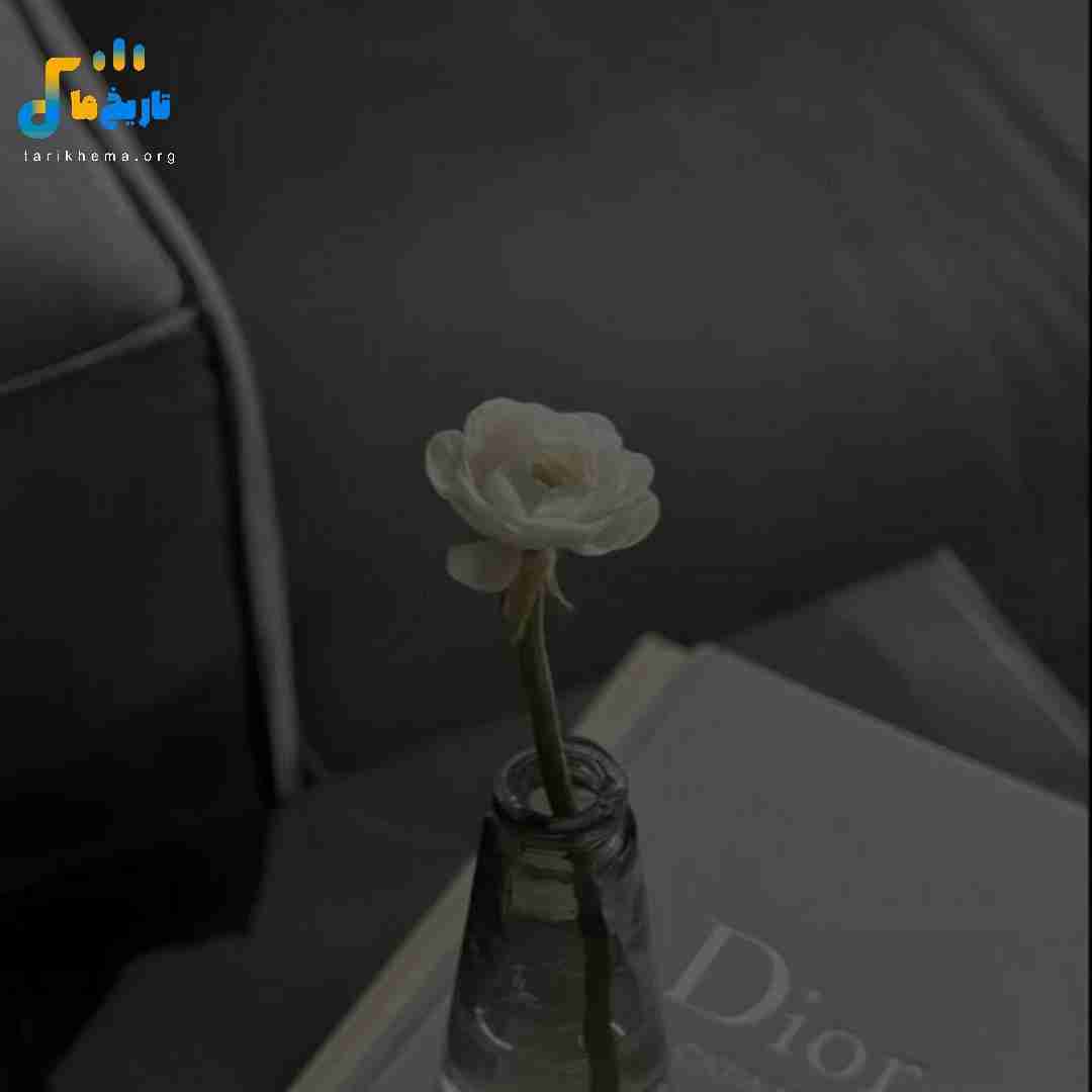 به تو میرسه سر تا پاتو بگیرم طلا