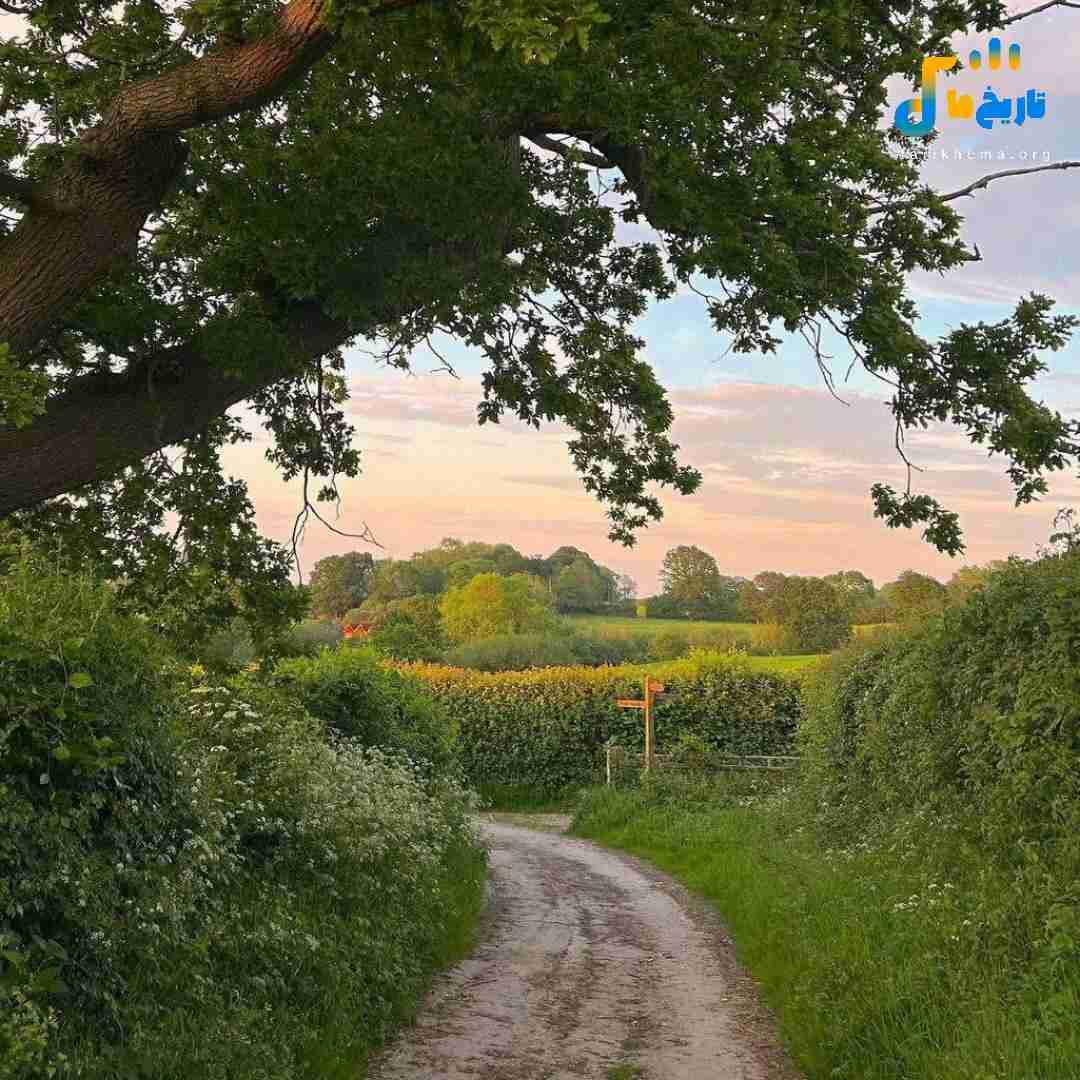 پلاک ۲۴ رسید به ایذه