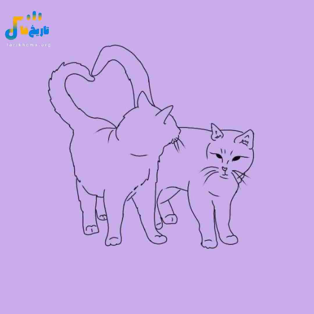 نباشی سم میشه واسم همه چی صبح هارو از خواب