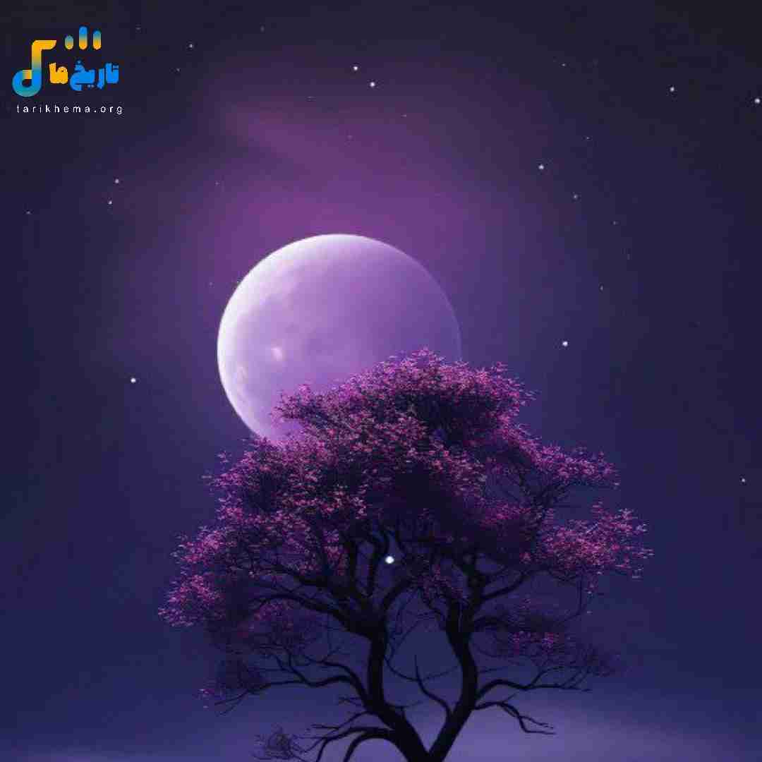  خاطره میسازیم نمیاد یاد تو بودیم دوتایی شمال