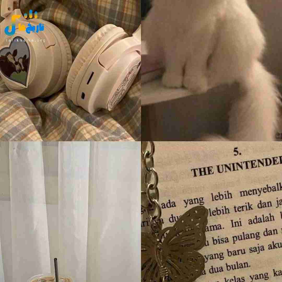  یاخدا وای لوتی کویرم کرم رو پنیرم