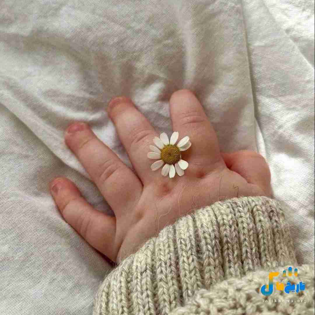 قطع و وصل نکن من یه تک میام