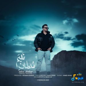 دانلود آهنگ جدید سلطان قلبم از توحید ناصری