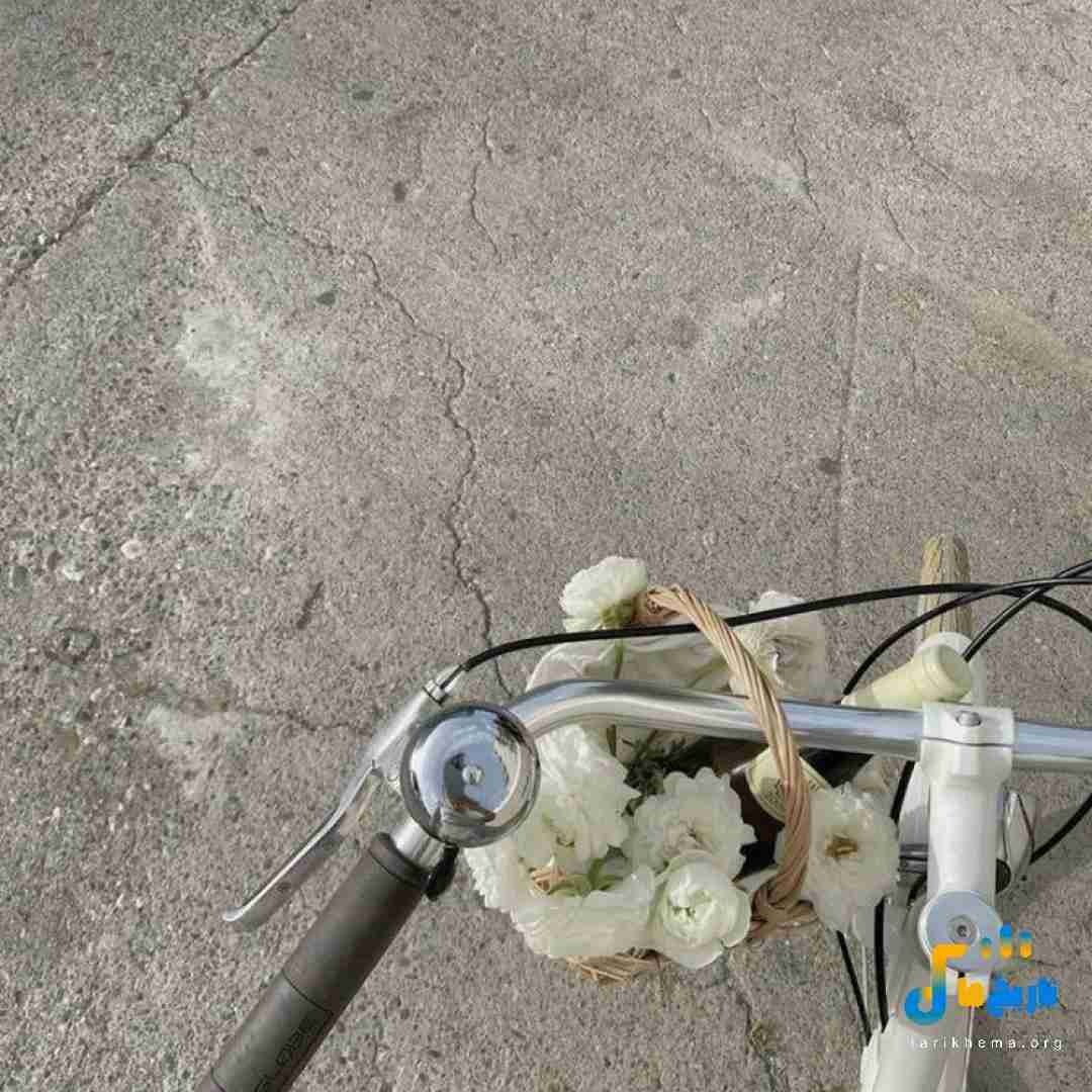 دنیارو نمیخوام اگه تو نباشی پوستمو میکنم سر تو نقاشی
