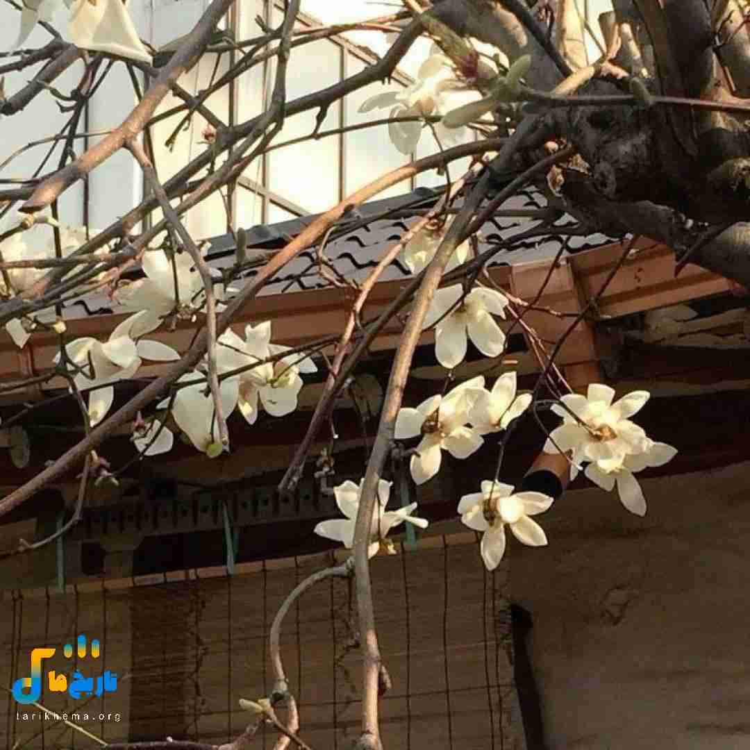 نمیشنوم الان هرچی تعریف کنی واسم همه چیو