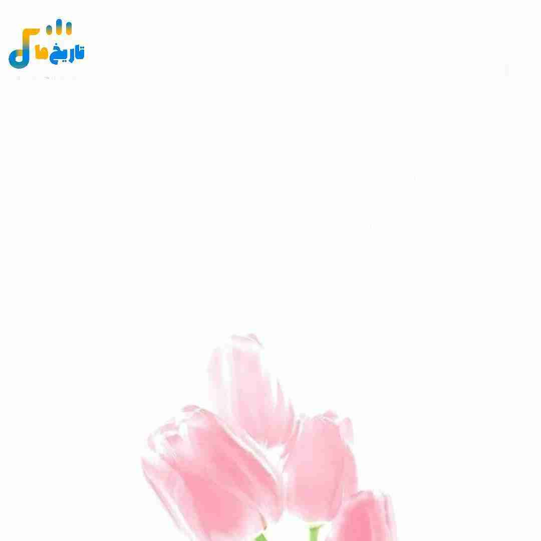  مثل تو ندیدم تو این کهکشان منو دوتا چیز آروم