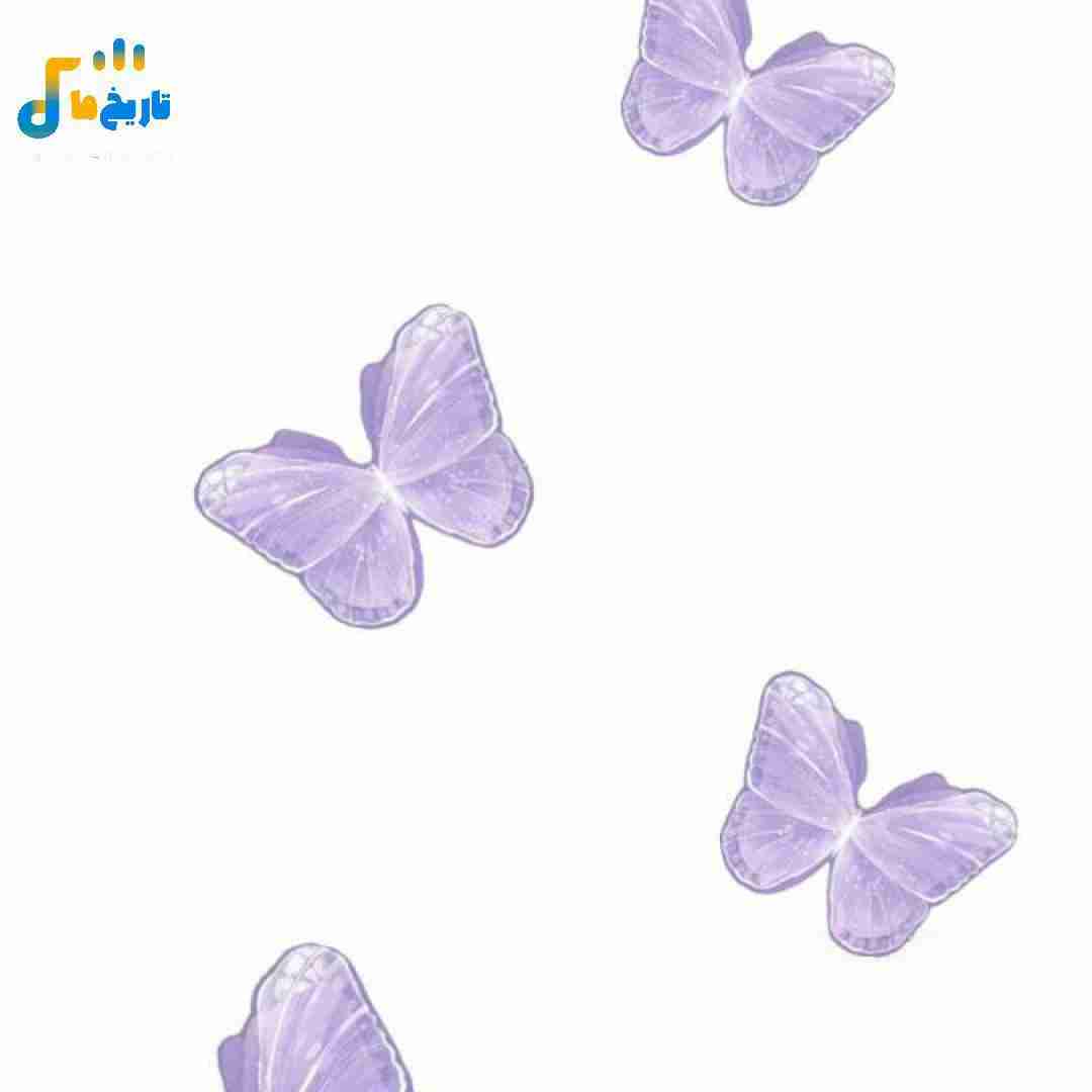 تو کجا قصه ای کافیه بگی باهم فرار میکنیم