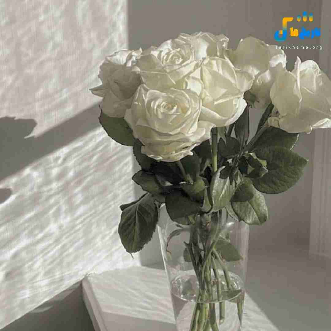 یادگاریت گردنم رو سینم اسلحست ولی توش