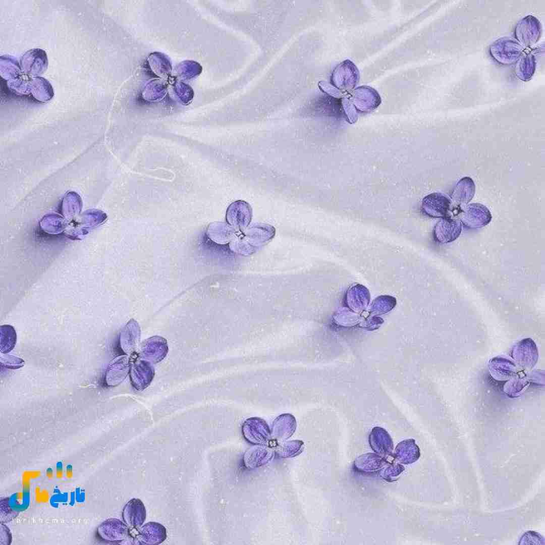 الان رفتی واسه چیو منو ترجیح دادی به چیو