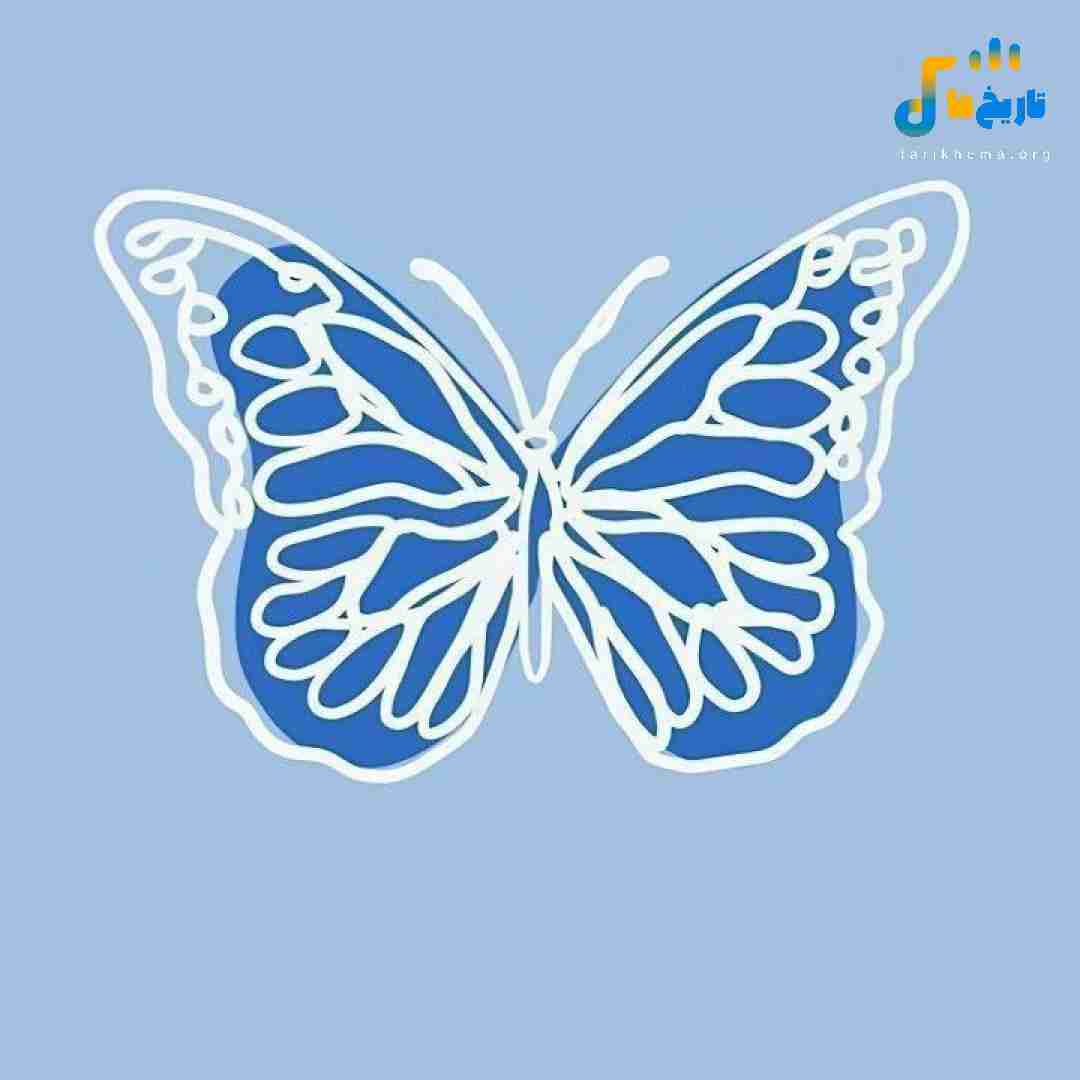  شاید بعد تو این آدما منو نفهمن کاش میشد