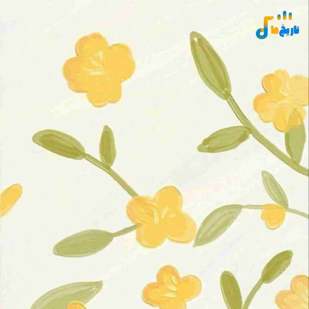 امروز اولین صبح بدون توعه کاشکی هیچ وقت نمیشدم بیدار