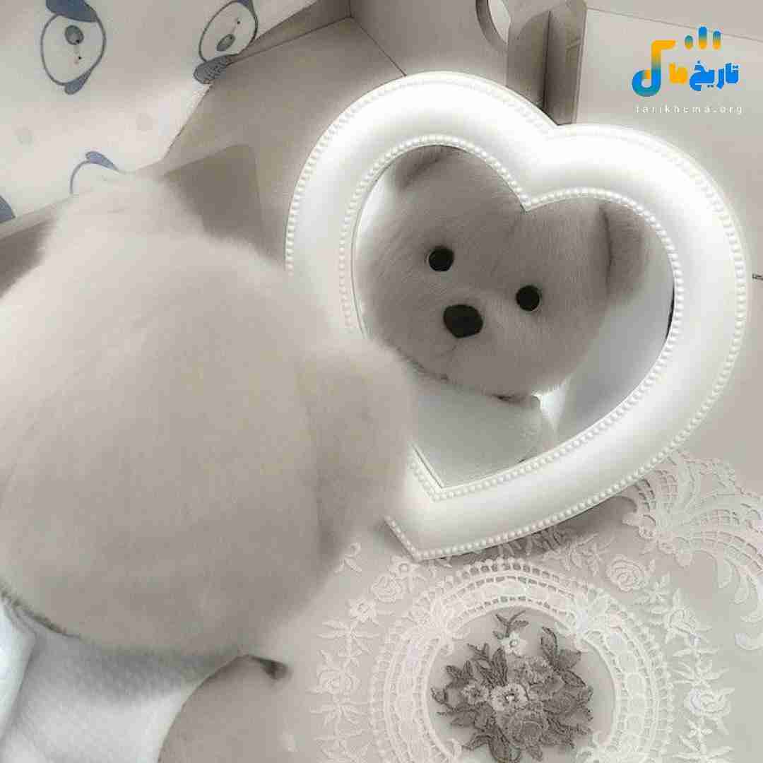  میچرخه زمین تشنه به خون زمان بی رحمه