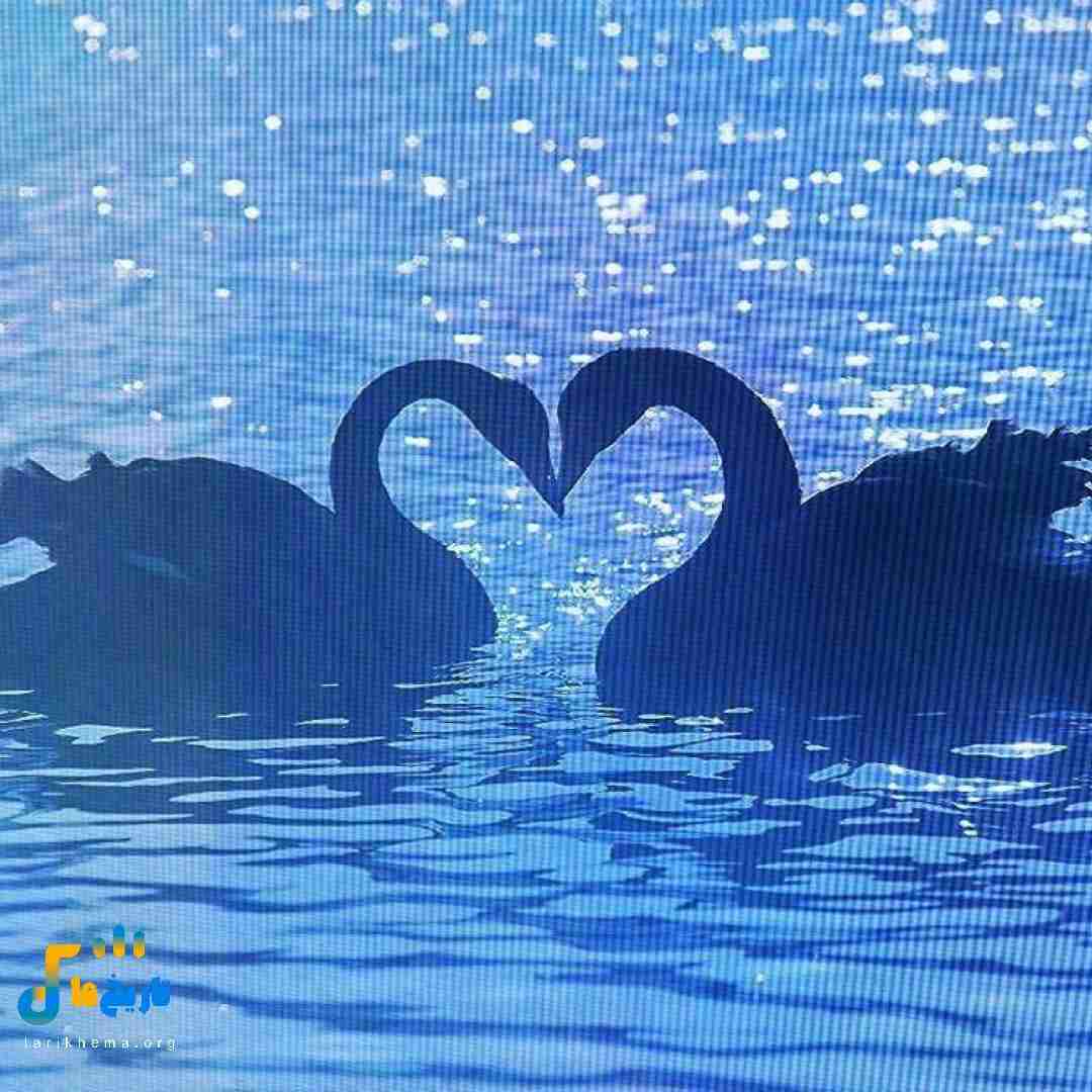 از یادت میرم وقتی حال میده بهت (میکس اینستایی)