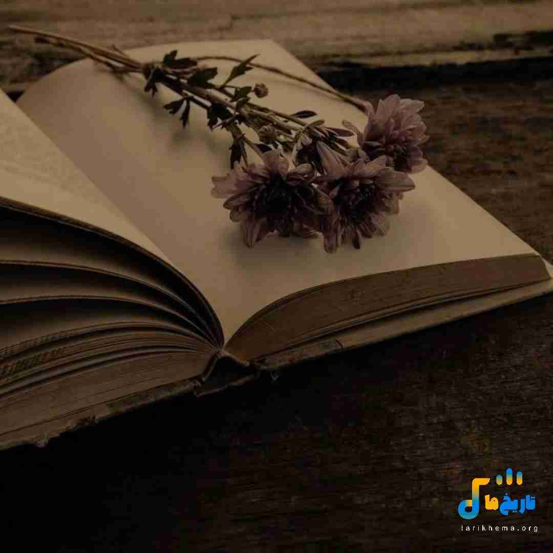 زدی بهم نصف شب زنگ دستت رو شد سکته کردم