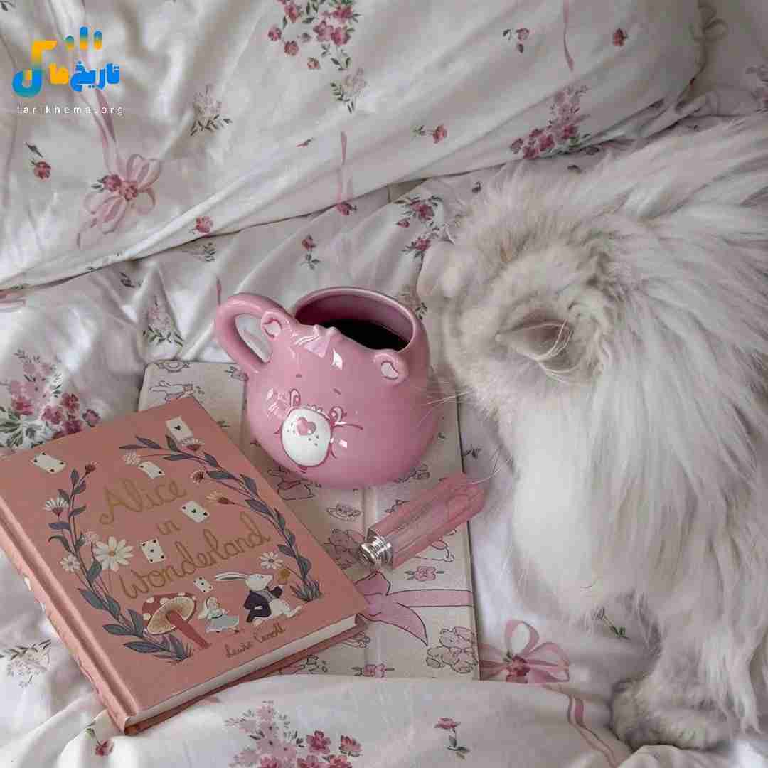 بای لالو روکی (چالش معروف اینستایی)