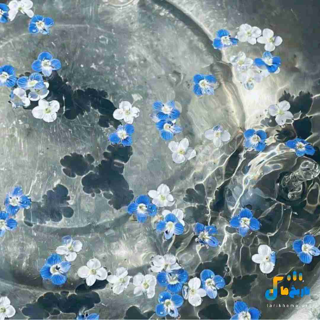  نبایدم بگم ولی میگم که چقدر الان بده بعدت