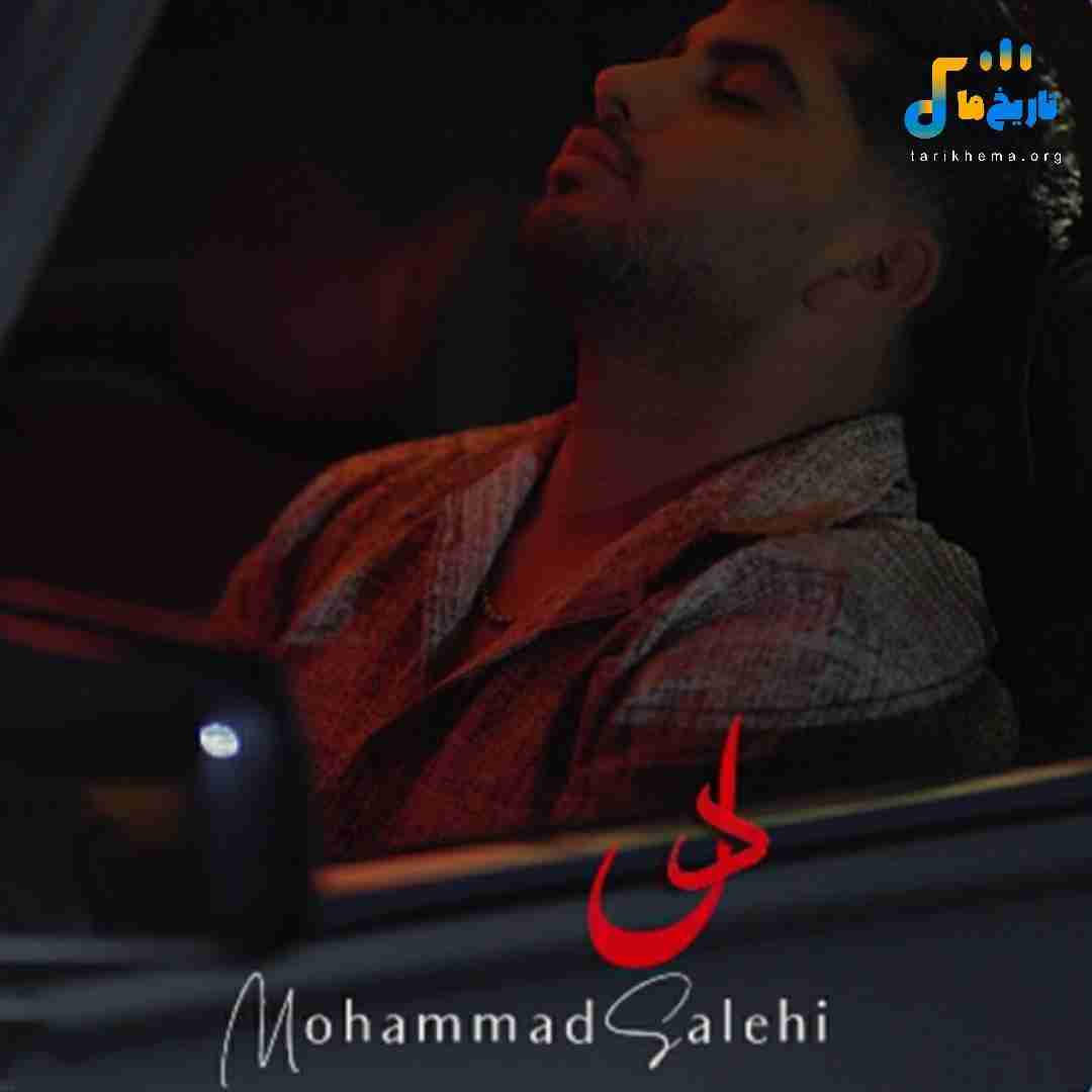 محمد صالحی دل