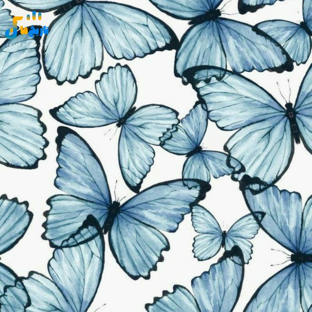 آدما فقط به پول میذارن احترام تو واسه ی پول کسی