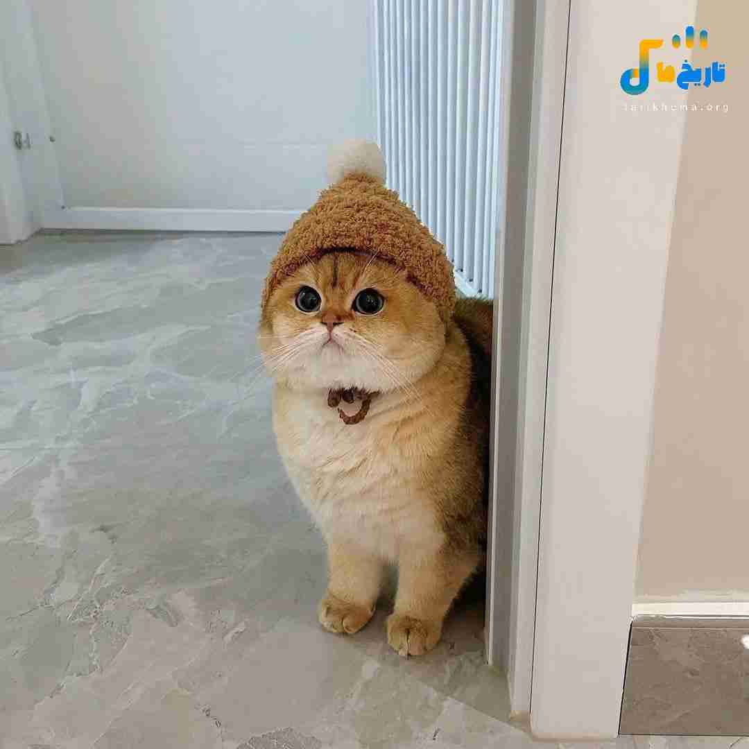  کی میدانه دلم آشوبه نرفتی از دلو نه از خیالم - میکس اینستا