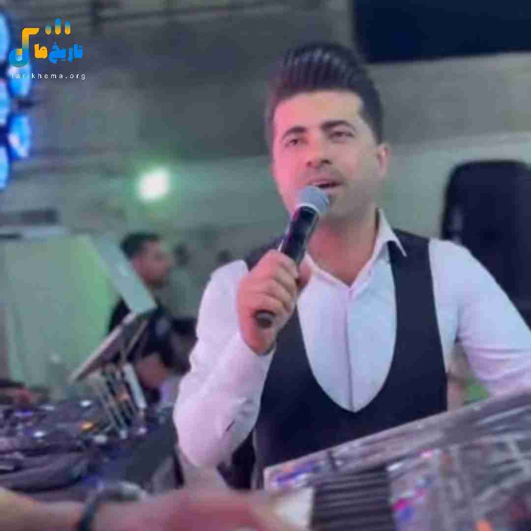 محسن احمدی دلبر می حنایی