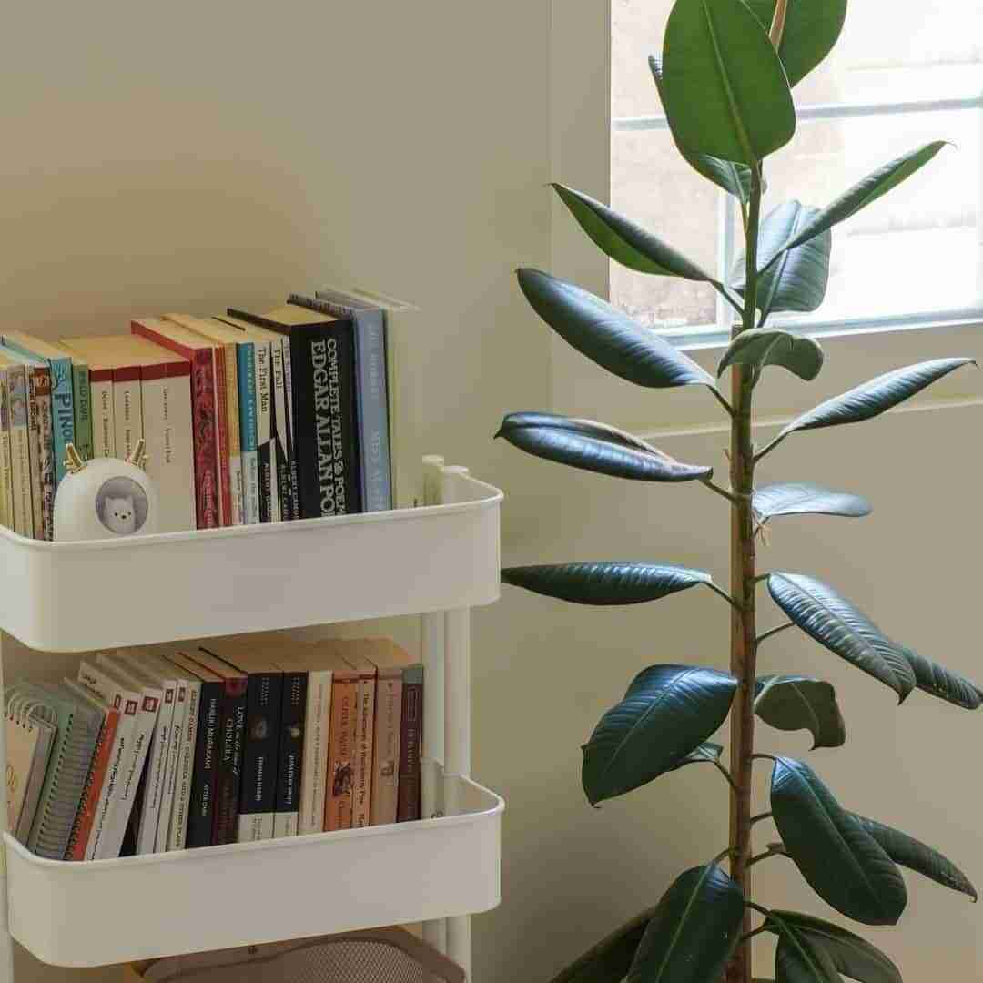  با تو پیر نمیشم اصلا هیشکی نمونه پیشم هوش مصنوعی