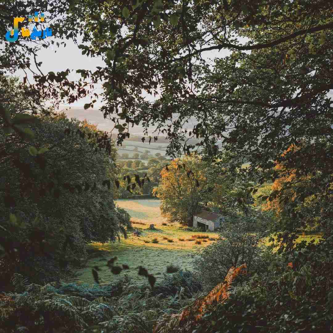 با بکس تو شهرکم حاجی از جنت آباد