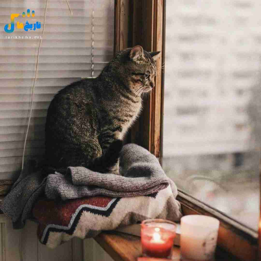 احتیاجی نی بگین دروغ سیزده به من