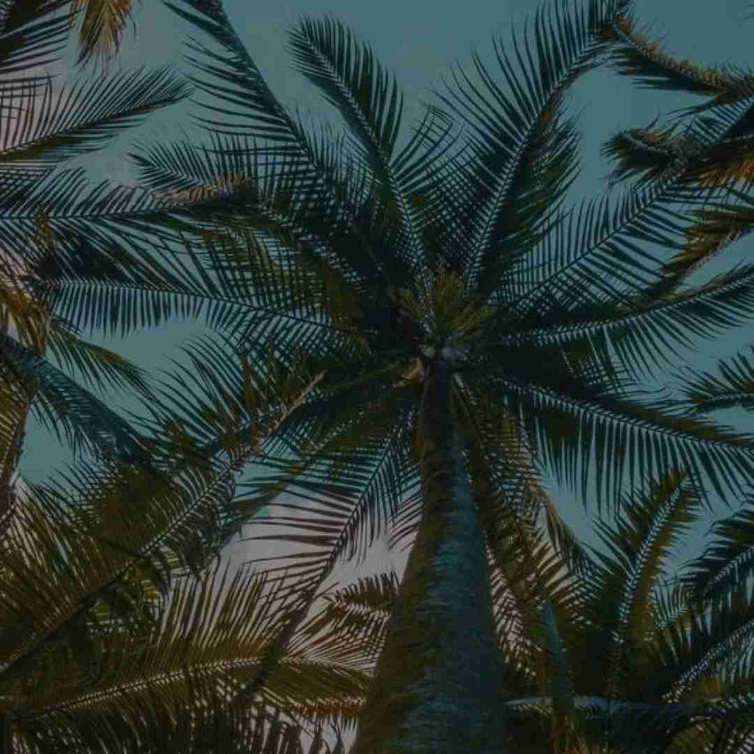  بیا از نو بساز منو بیا خنده کن اخممو
