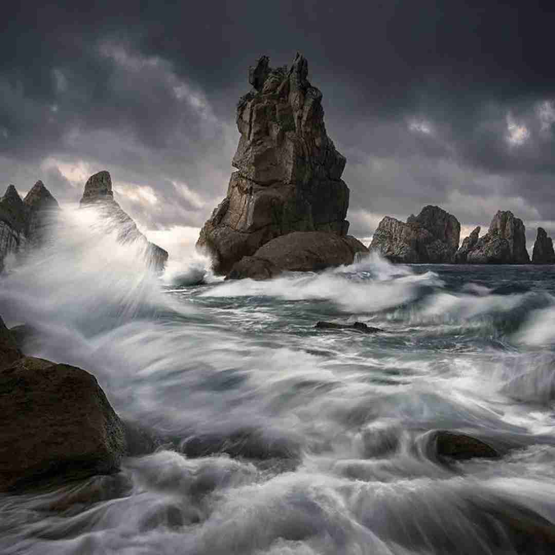 روژا صحرا