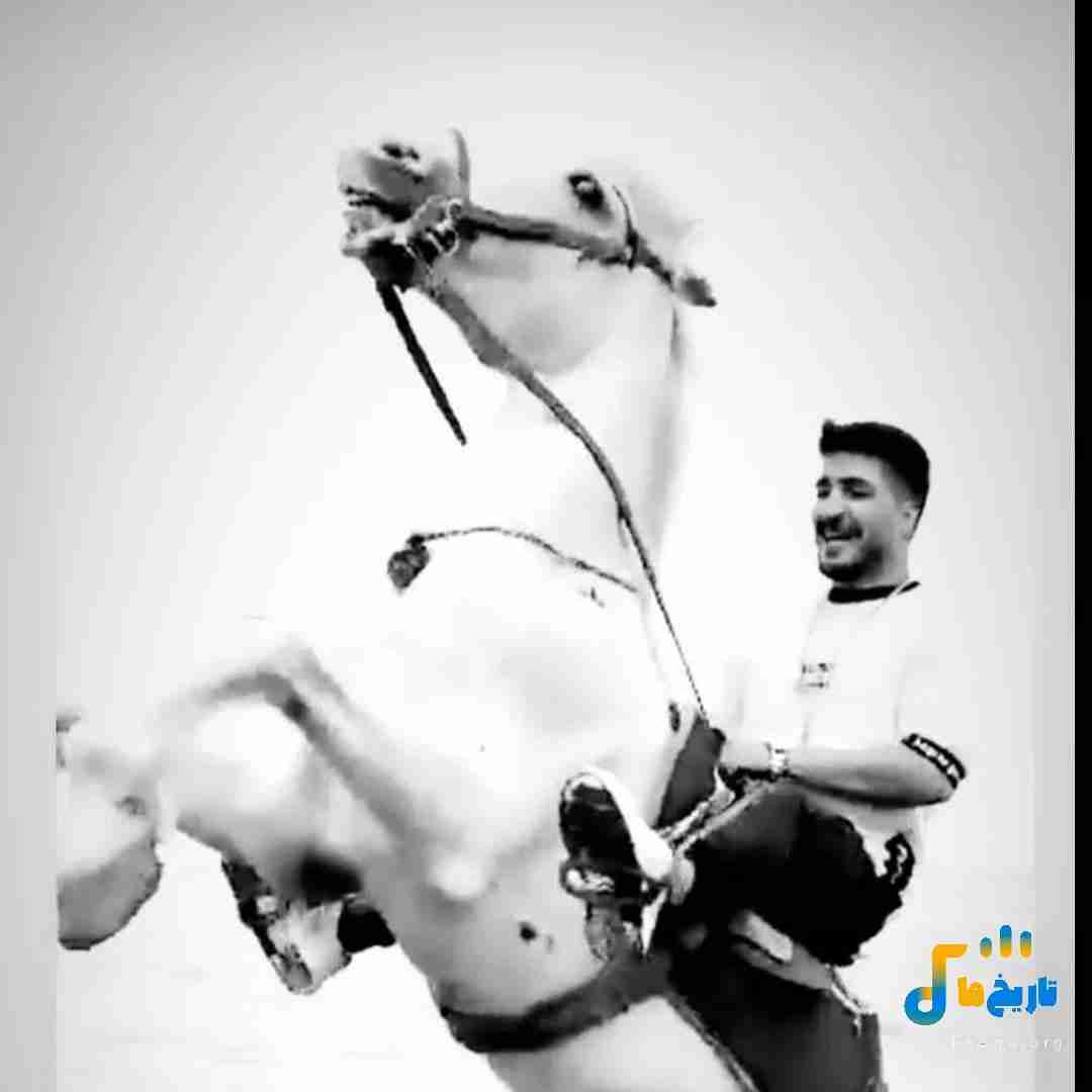 آرمین برمایه و روژی که تو چیده اشکم تید ودیده
