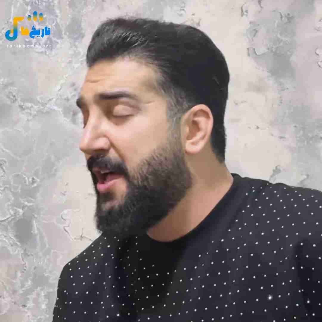 آرمین سبزواری و ناو مسی و حیرانی هامه فکرت فلانی
