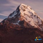 دانلود آهنگ جدید چند سالته که آدمو آروم میکنی حال دلو با صدای زن – هوش مصنوعی از