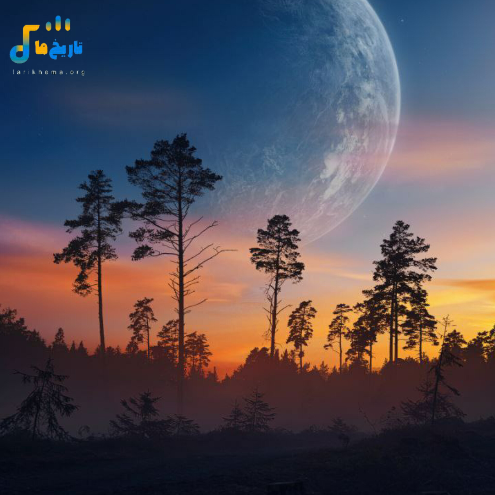  بدونه من کجا میخوای بری نوکه قله ام نی آنتنیم