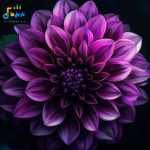 دانلود ریمیکس گاهی اوقات حس میکنم نزدیکمی بعضی وقتا فکر میکنم