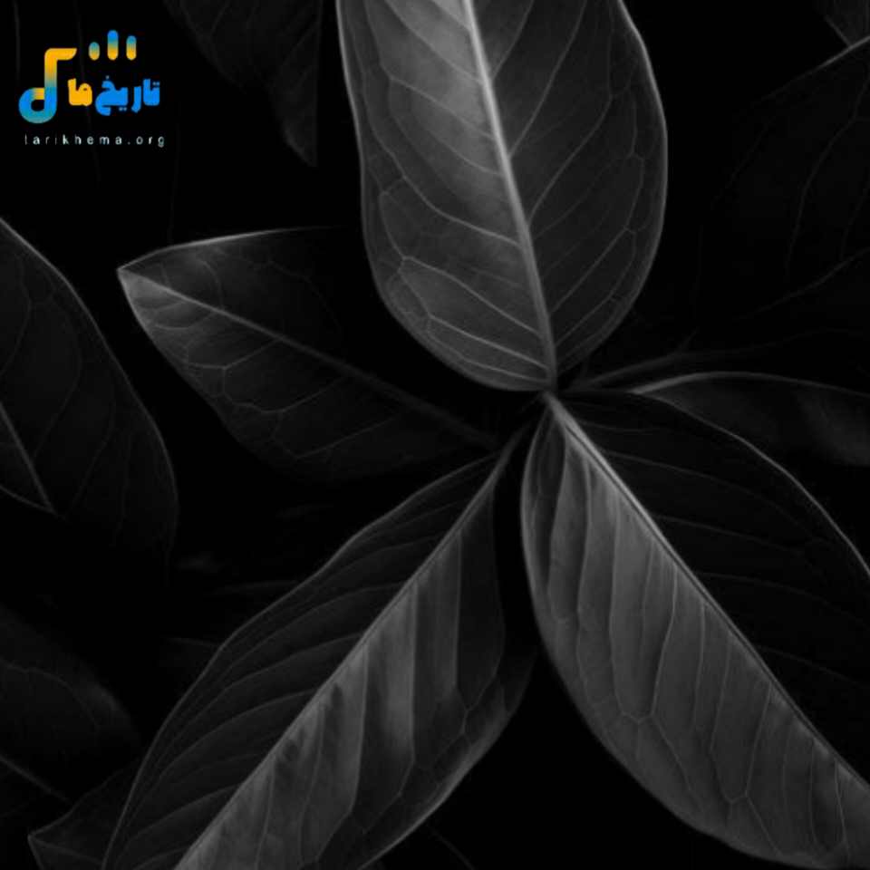  حالم زیاد تعریفی نداره مگه میشه اشکام روت تاثیر نذاره