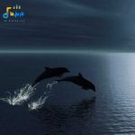 دانلود آهنگ جدید ندارم داستانی باتون فوله رفاقت باتون همه چیمو میدم