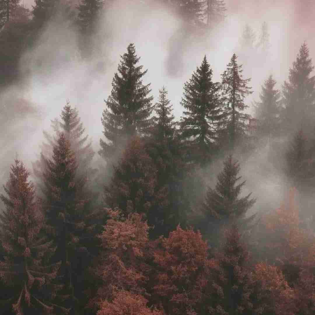 دانلود آهنگ میزنم پسش ننش بشه دلواپسش