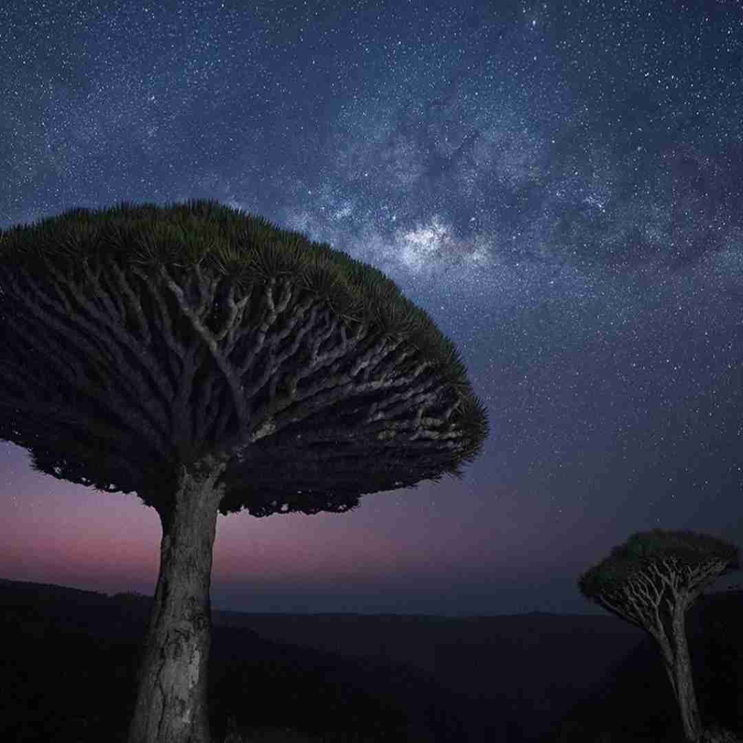 دانلود آهنگ تو که راحت میخوابی ولی یکی بیداره با صدای باب اسفنجی