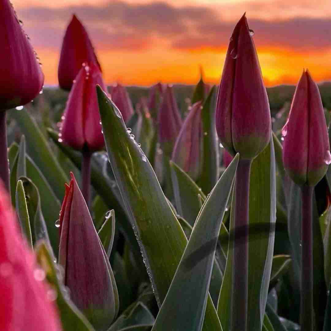  ترکی امروز اصلا حال خوبی ندارم خیلی هم بد اخلاقم