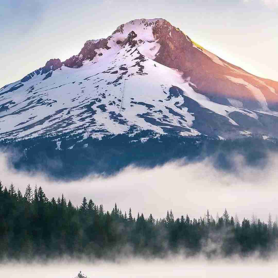 دانلود ریمیکس این خیابونای خالی منتظرن تو کجایی هوش مصنوعی