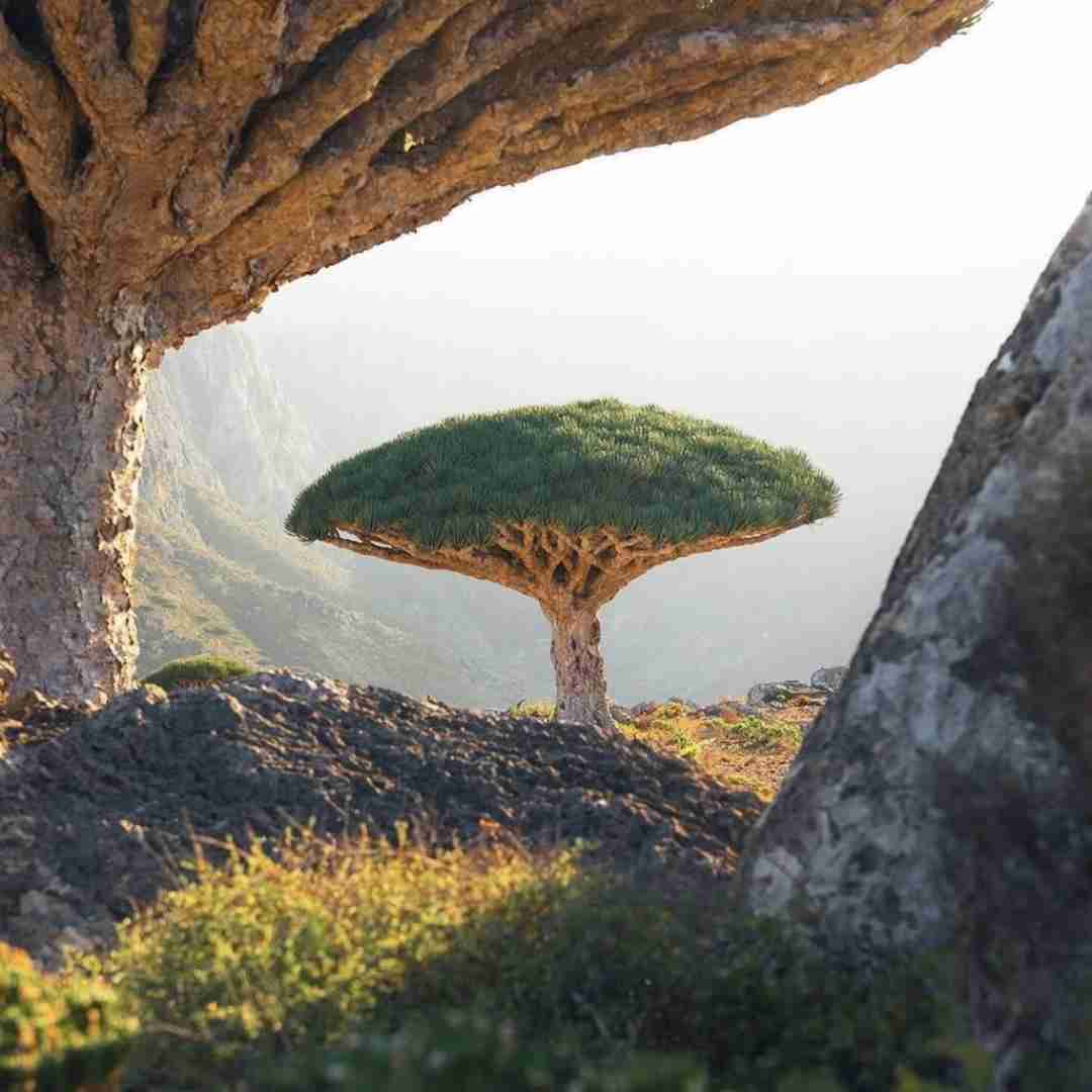 دانلود آهنگ توام اگه پس زدنت برگرد پیش خودم دوباره