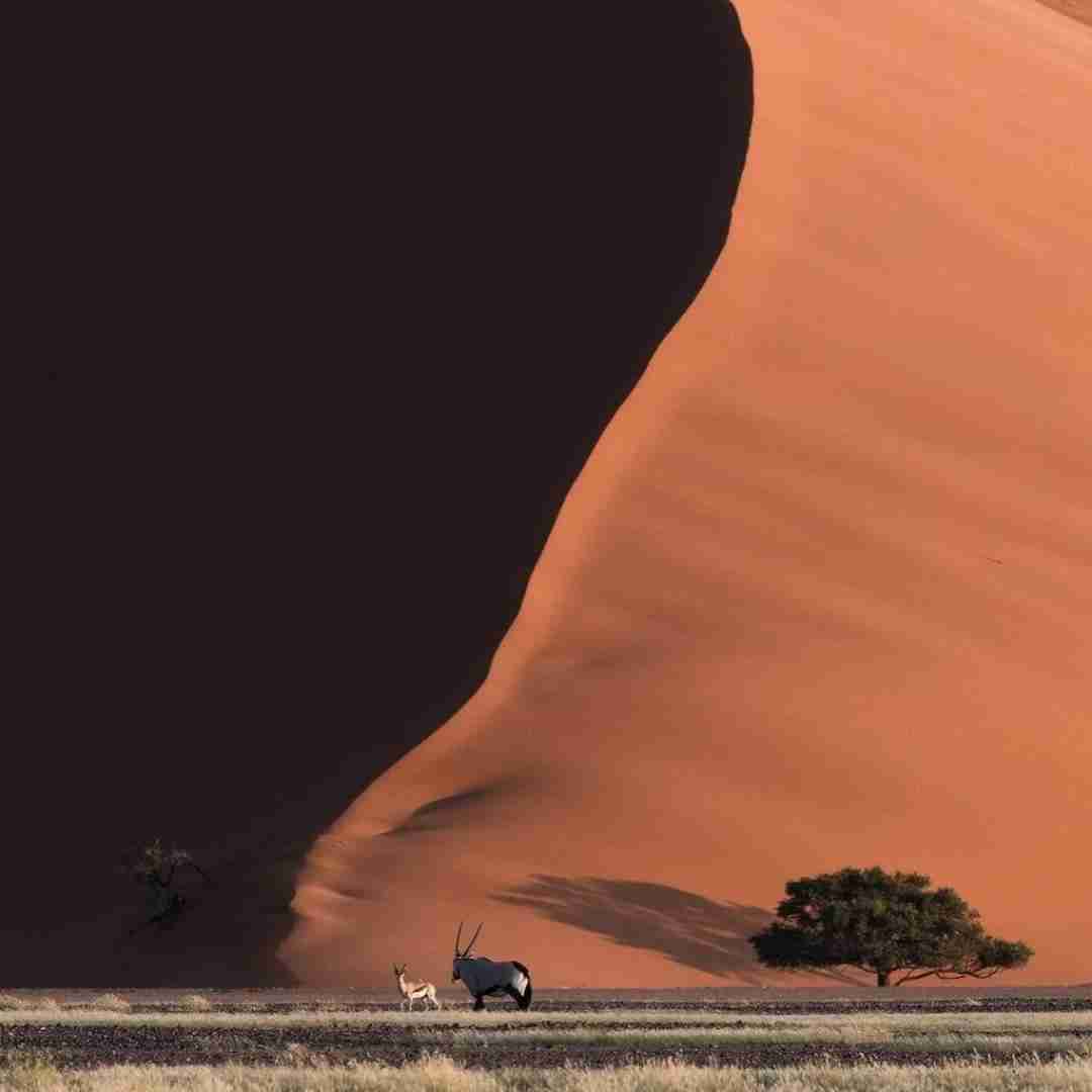 دانلود آهنگ دنیا میچرخه رو روتین بی رحمی اون دائم تکرار میکنه