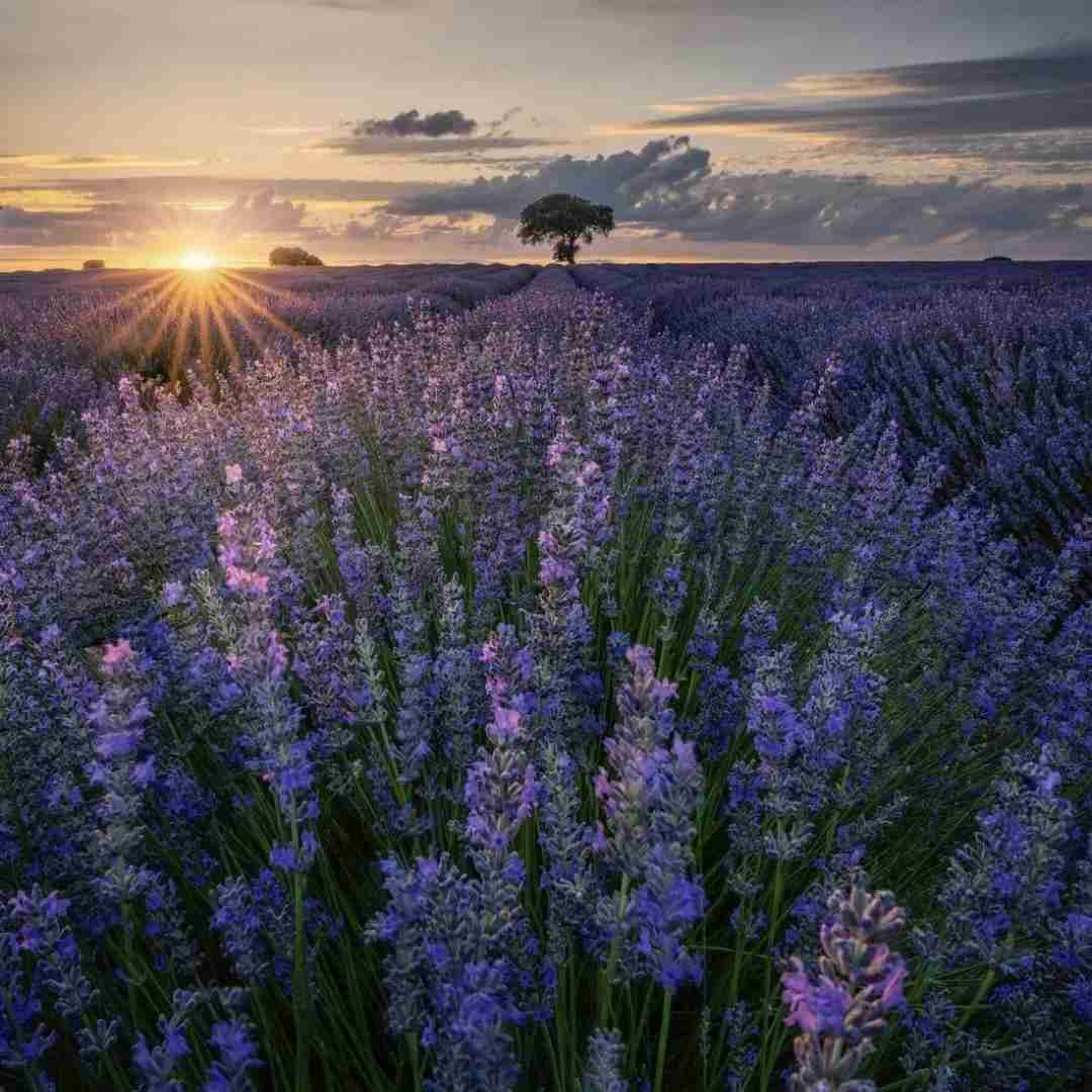 دانلود آهنگ ای کاش که من دو نفر بودم یکی پیش مامان میموند