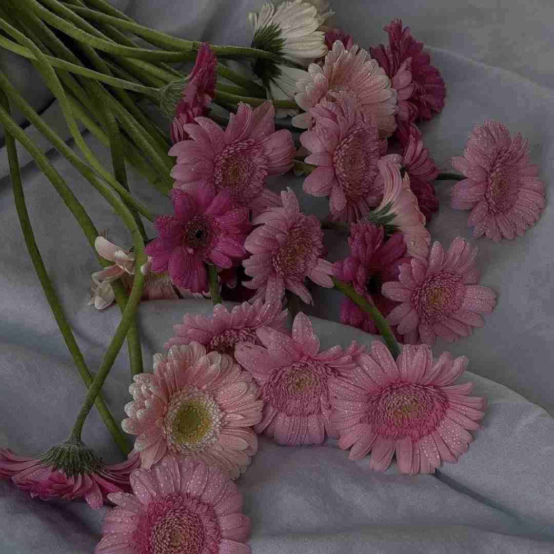 دانلود آهنگ آه له له له آه للاس _ ترند اینستایی