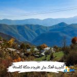 دانلود آهنگ برای تفریح در جنگل گلستان