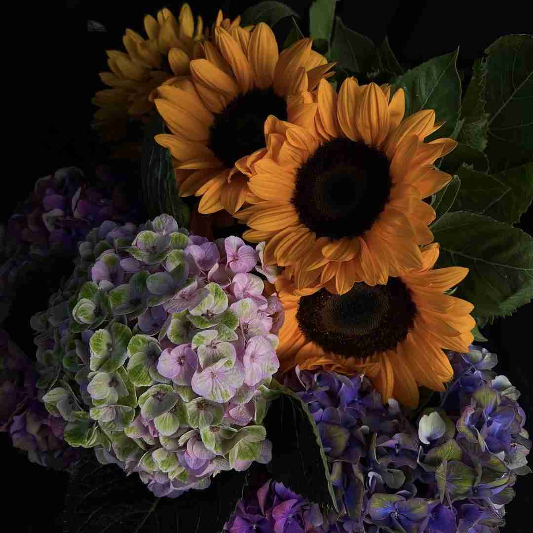 فاطمه عطایی عاشق تمه