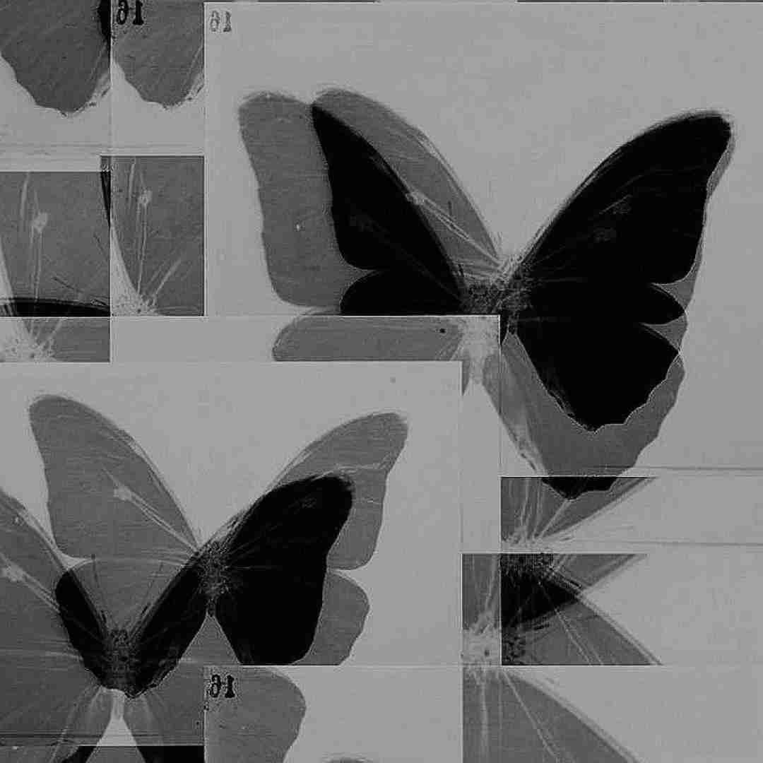 دانلود آهنگ ترکی اولدوم حالی پریشان عمرومو وردیم صدای زن